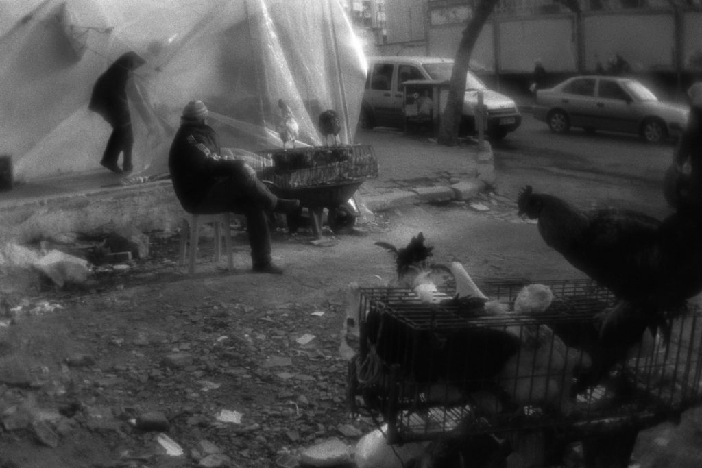 Poultry dealers near the marketplace of Tekirdag town. Turkey, 1