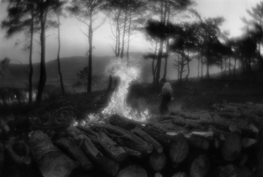 Firewood stocking in Çanakkale surroundings, situated near Dard