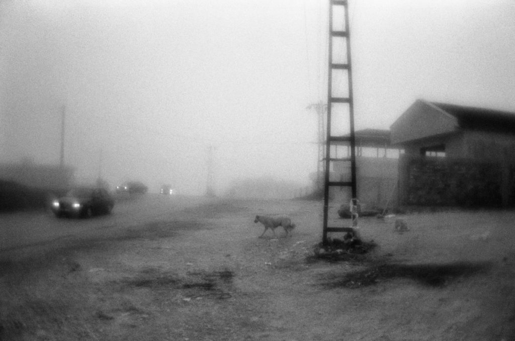 Near  the temporary cattle market place, arranged in the outskir