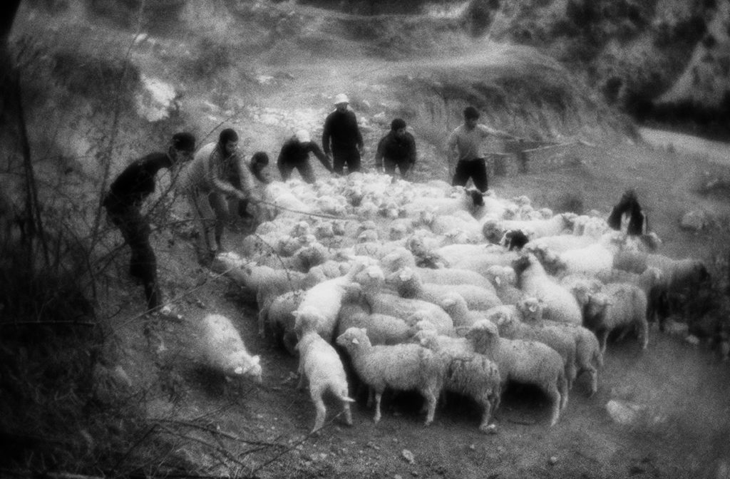 Near Musultemakhi settlement, Republic of Dagestan. Russia, 